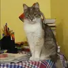 Отзыв от Фаина Зубкова